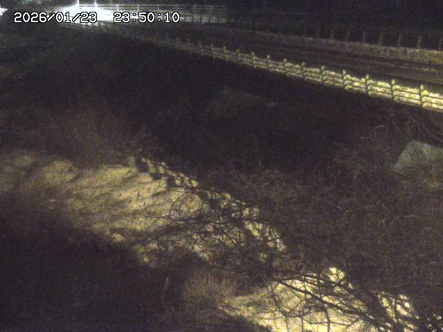 洗川１2026/01/24 3:00:00