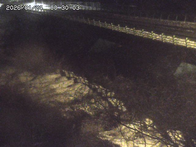 洗川１2026/01/24 3:00:00