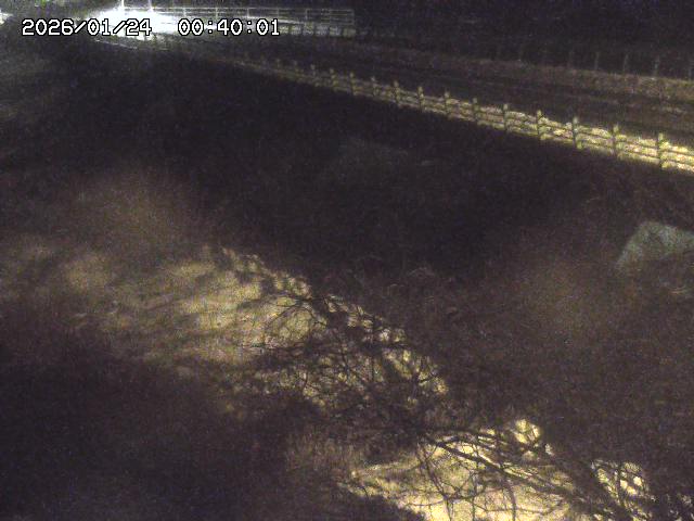 洗川１2026/01/24 3:00:00