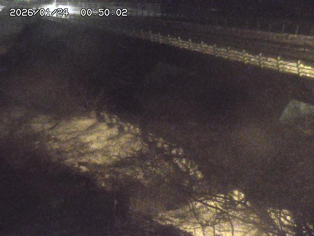 洗川１2026/01/24 3:00:00