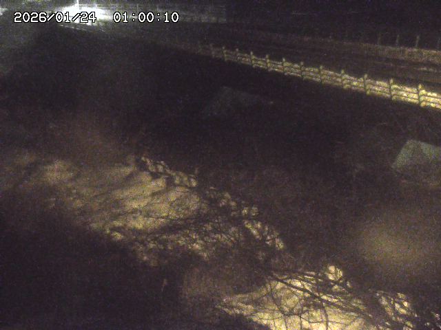 洗川１2026/01/24 3:00:00