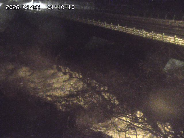 洗川１2026/01/24 3:00:00