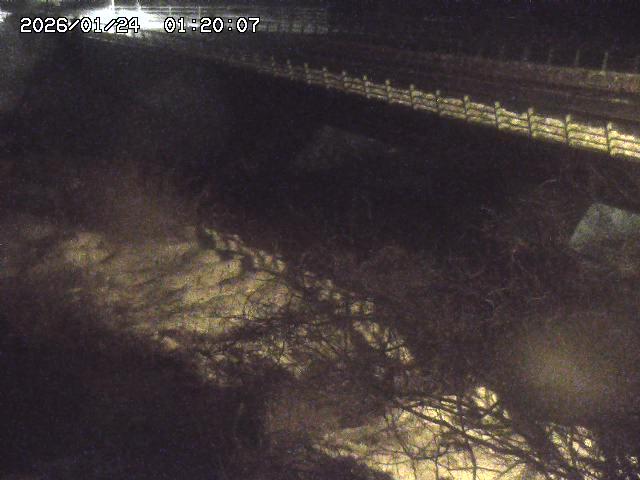 洗川１2026/01/24 3:00:00