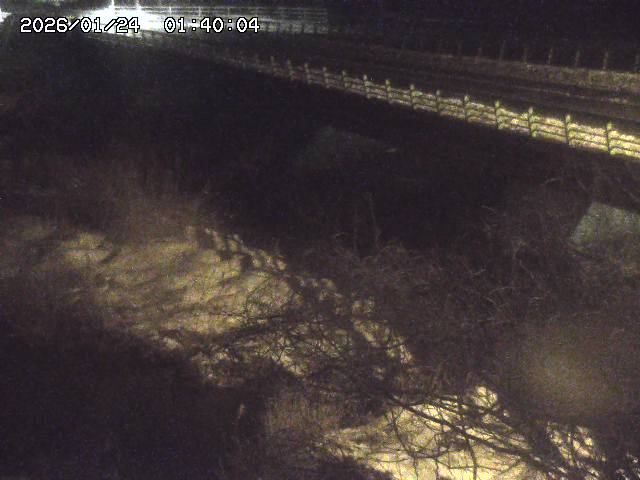 洗川１2026/01/24 3:00:00