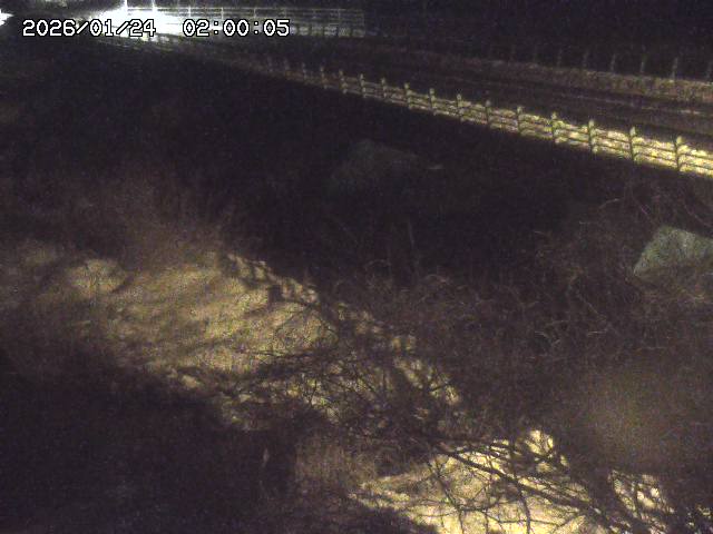 洗川１2026/01/24 3:00:00