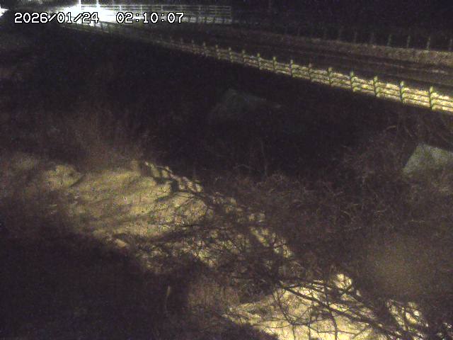 洗川１2026/01/24 3:00:00