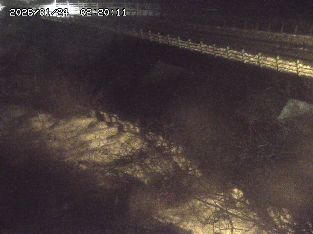 洗川１2026/01/24 3:00:00