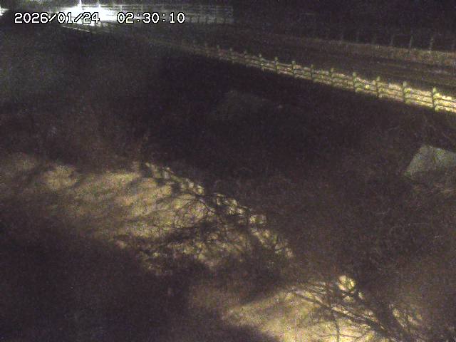 洗川１2026/01/24 3:00:00