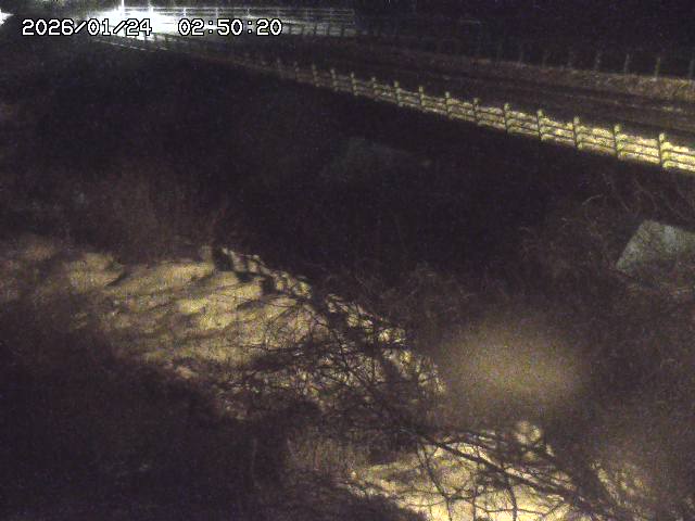 洗川１2026/01/24 3:00:00