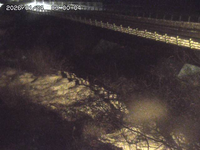 洗川１2026/01/24 3:00:00