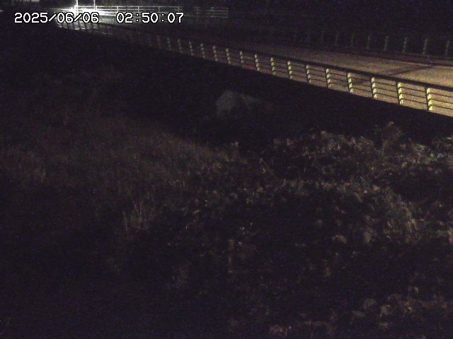 洗川１2025/06/06 3:20:00