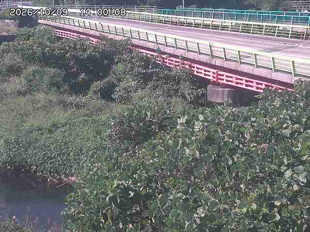 洗川１2026/10/09 20:20:00