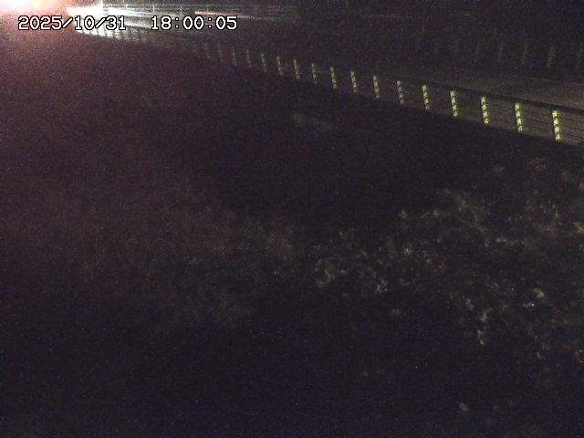 洗川12025/10/31 23:50:00