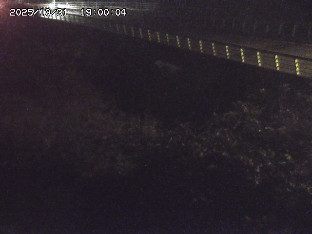 洗川12025/10/31 23:50:00