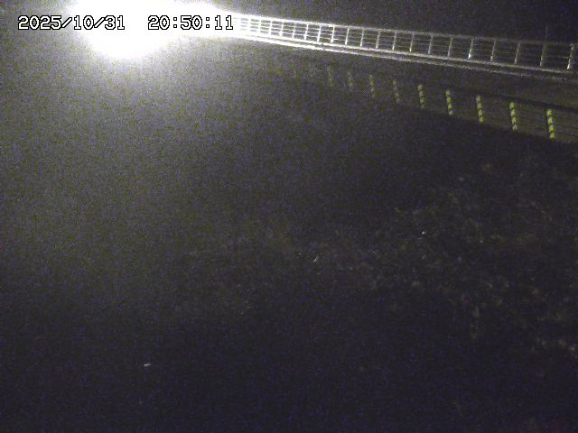 洗川12025/10/31 23:50:00