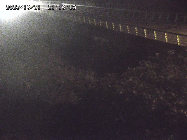 洗川12025/10/31 23:50:00