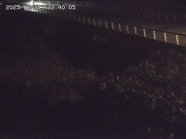 洗川12025/10/31 23:50:00