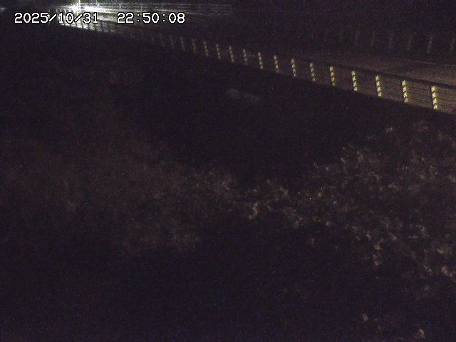 洗川12025/10/31 23:50:00