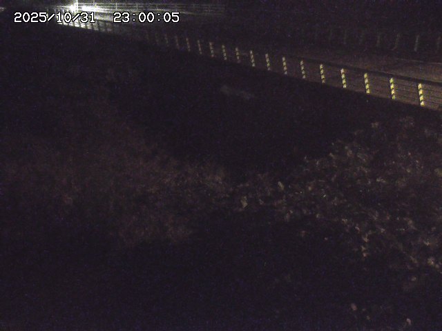 洗川12025/10/31 23:50:00