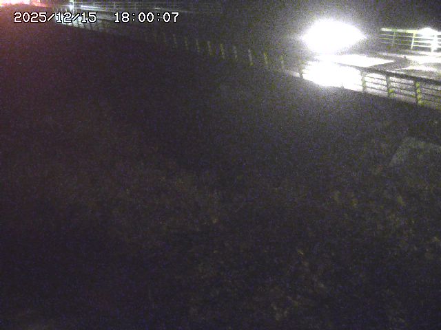 洗川１2025/12/16 8:50:00