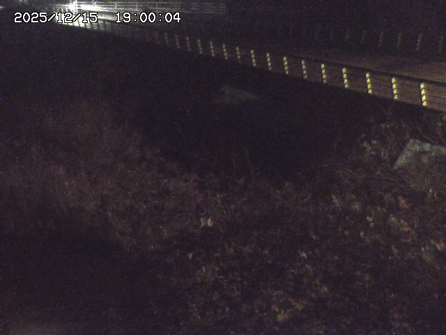 洗川１2025/12/16 8:50:00