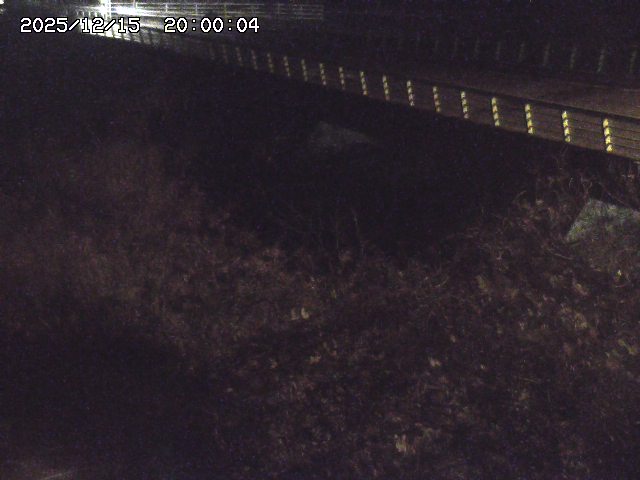 洗川１2025/12/16 8:50:00