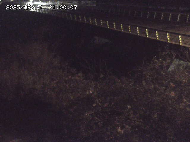 洗川１2025/12/16 8:50:00