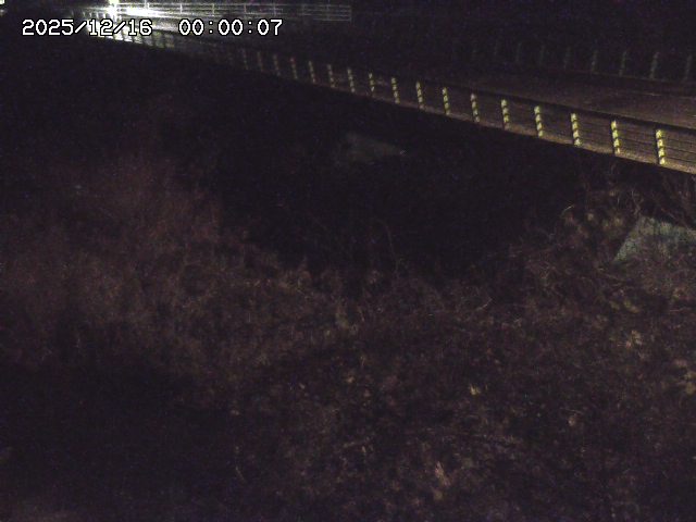 洗川１2025/12/16 8:50:00