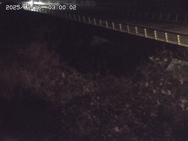 洗川１2025/12/16 8:50:00