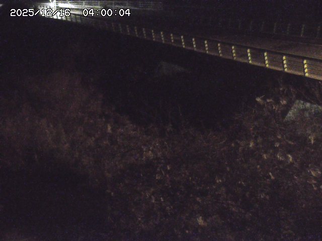 洗川１2025/12/16 8:50:00
