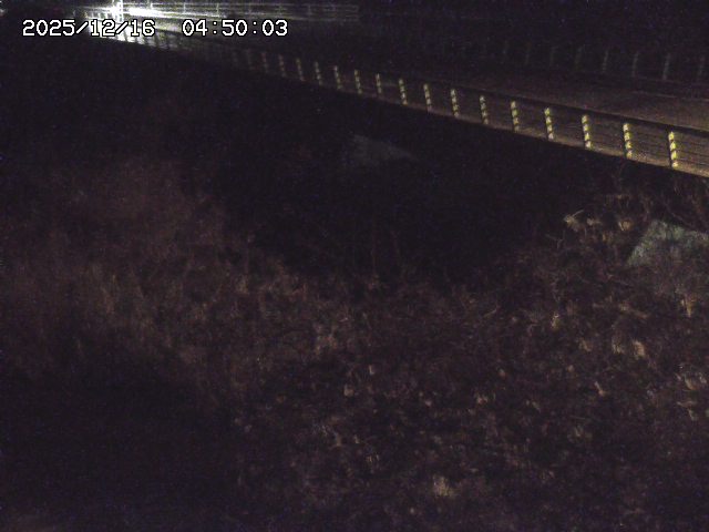 洗川１2025/12/16 8:50:00