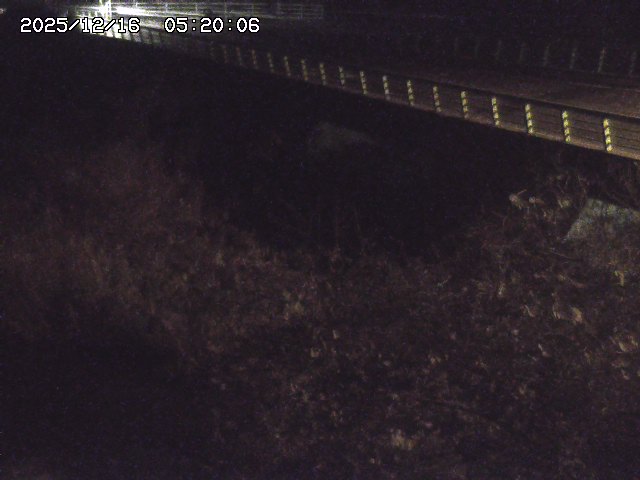 洗川１2025/12/16 8:50:00