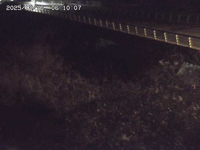 洗川１2025/12/16 8:50:00