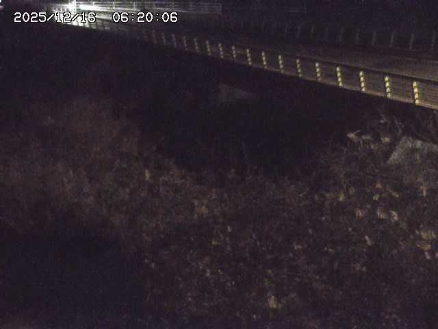 洗川１2025/12/16 8:50:00