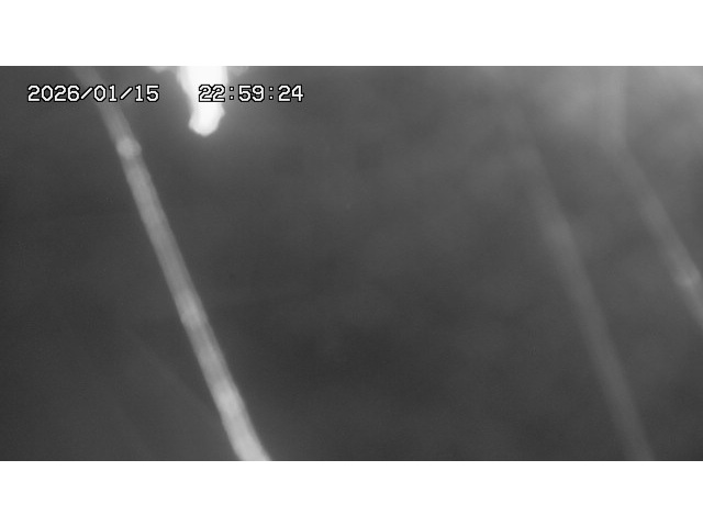 東郷ダム１（下流）2026/01/16 15:50:00