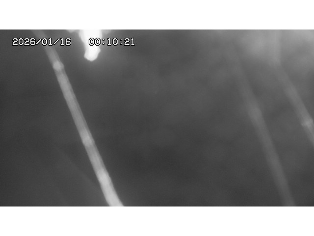 東郷ダム１（下流）2026/01/16 15:50:00