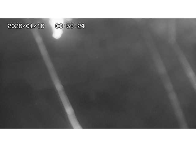 東郷ダム１（下流）2026/01/16 15:50:00