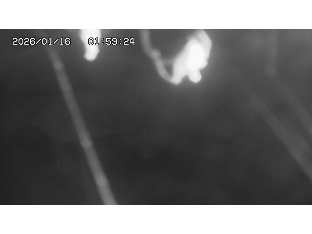 東郷ダム１（下流）2026/01/16 15:50:00