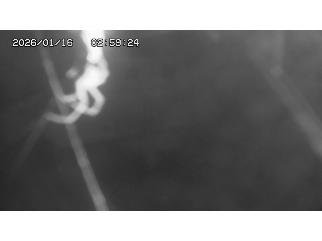 東郷ダム１（下流）2026/01/16 15:50:00