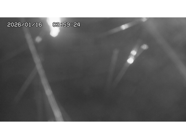 東郷ダム１（下流）2026/01/16 15:50:00