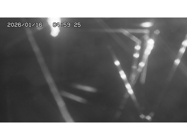 東郷ダム１（下流）2026/01/16 15:50:00