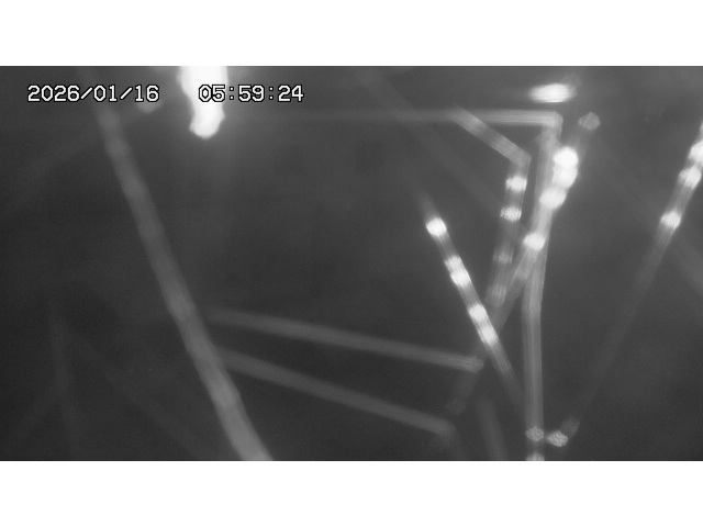 東郷ダム１（下流）2026/01/16 15:50:00