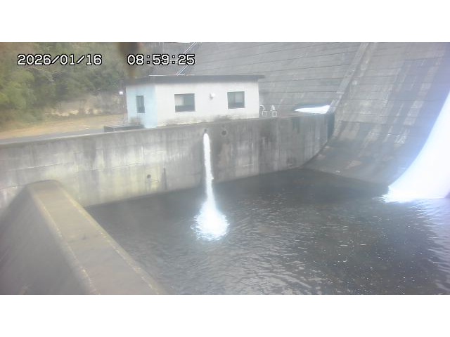 東郷ダム１（下流）2026/01/16 15:50:00
