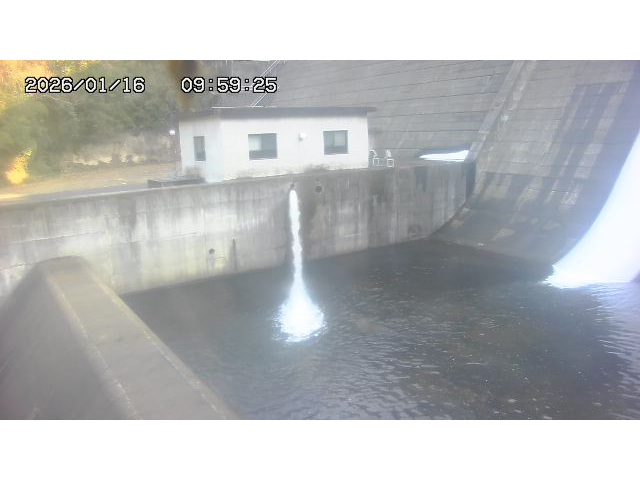 東郷ダム１（下流）2026/01/16 15:50:00