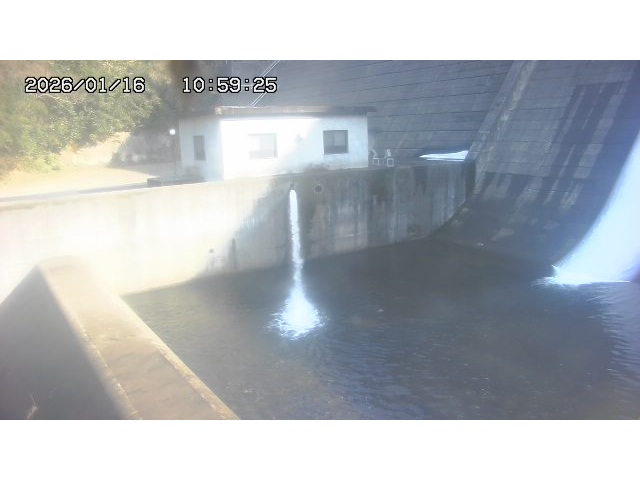 東郷ダム１（下流）2026/01/16 15:50:00