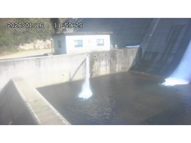 東郷ダム１（下流）2026/01/16 15:50:00