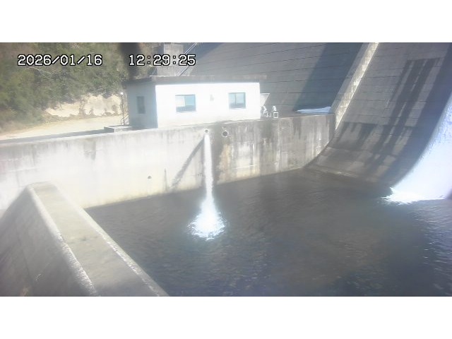 東郷ダム１（下流）2026/01/16 15:50:00