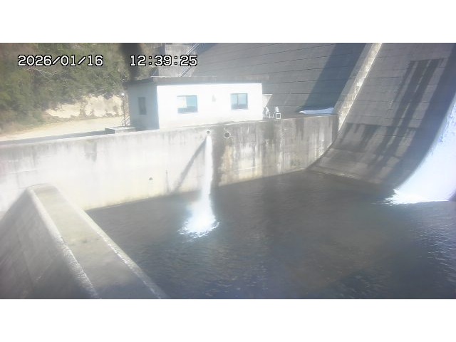 東郷ダム１（下流）2026/01/16 15:50:00