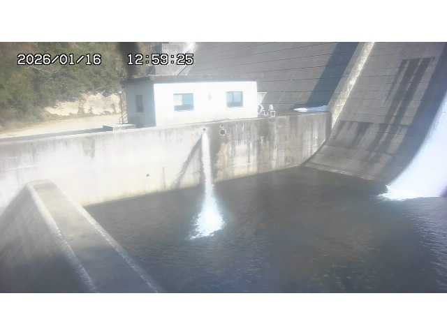 東郷ダム１（下流）2026/01/16 15:50:00