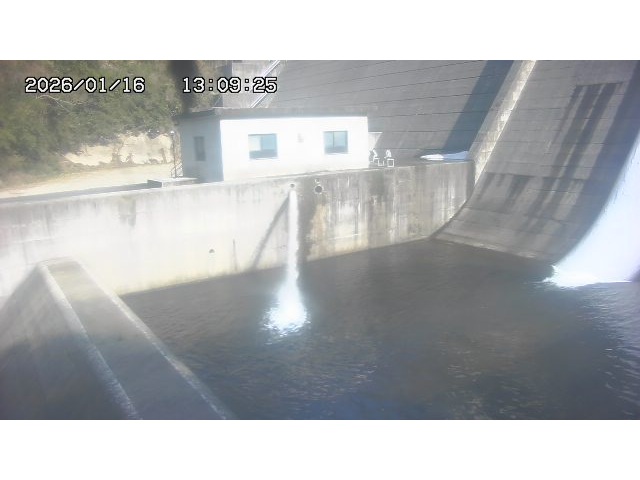 東郷ダム１（下流）2026/01/16 15:50:00